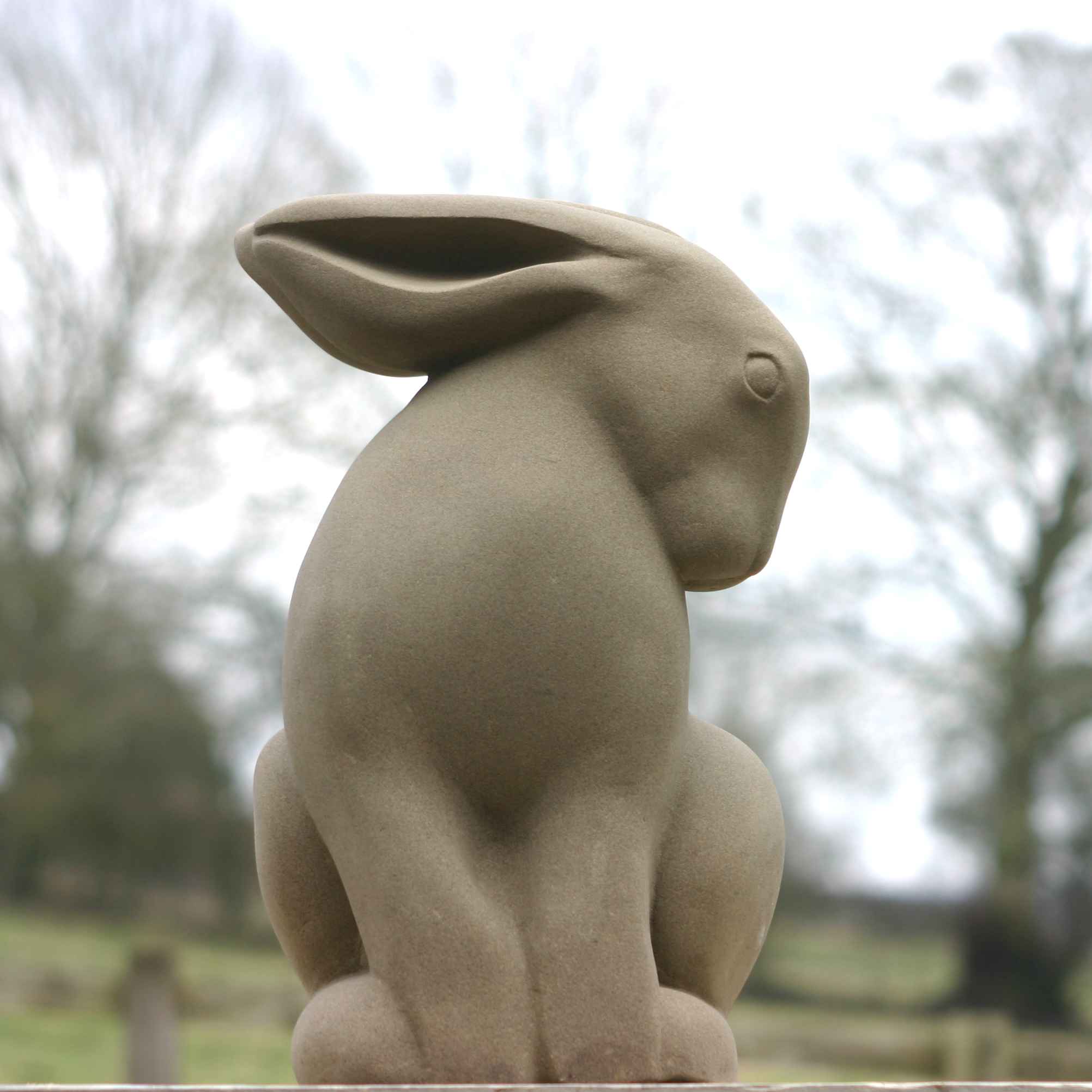 Stainsby Hare
