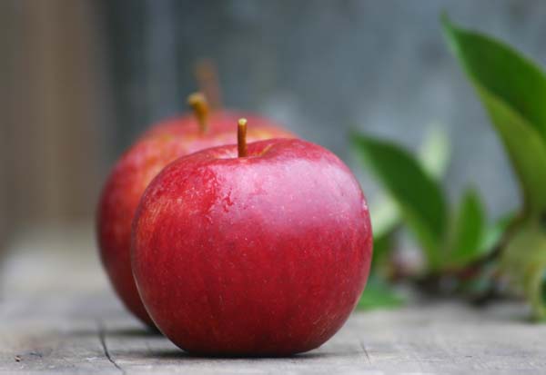 Apples on bench600