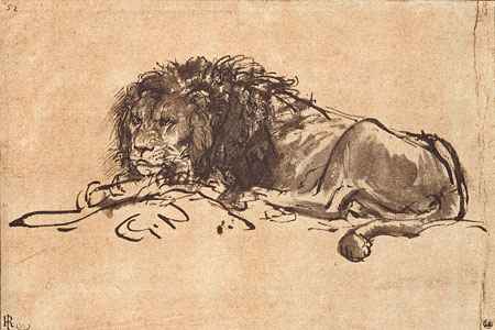 rembrandt lion