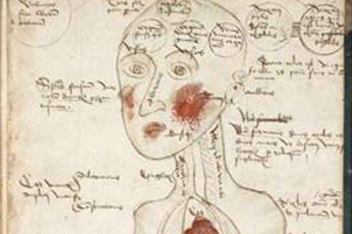 Medieval drawing of the brain - I felt like this - flushed and brain-full with all the new information.