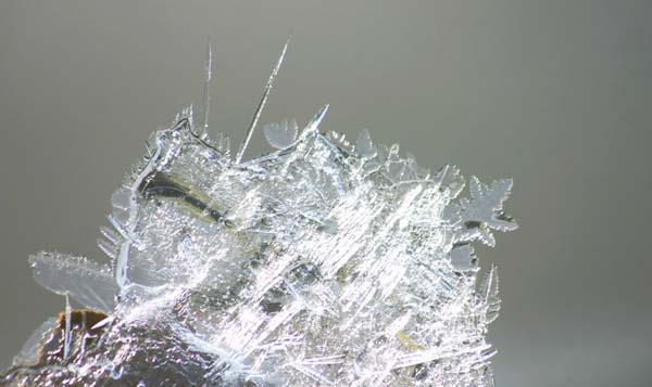 Ice crystal sculpture