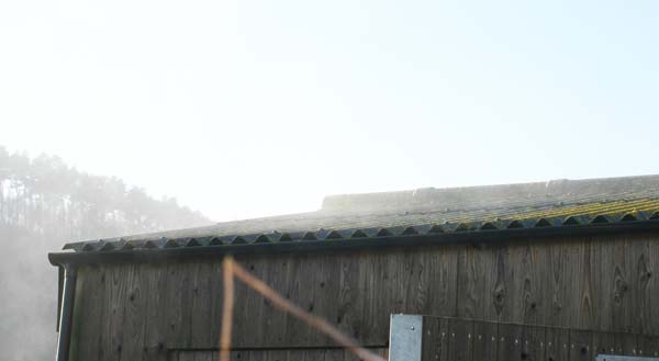 Steaming roof