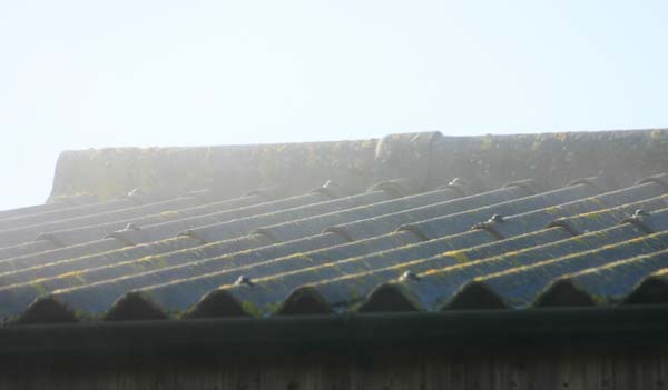 Steaming roof