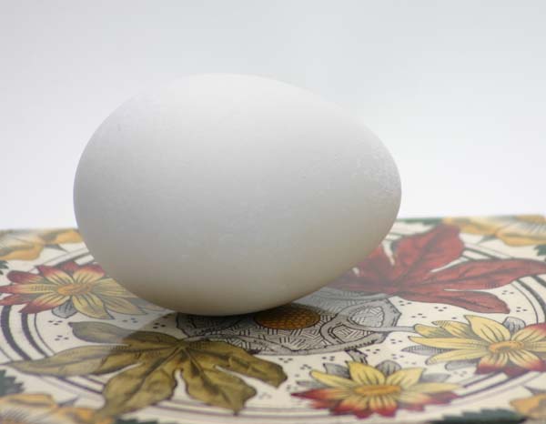 Goose egg