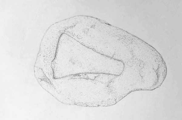 Axe head mould drawing