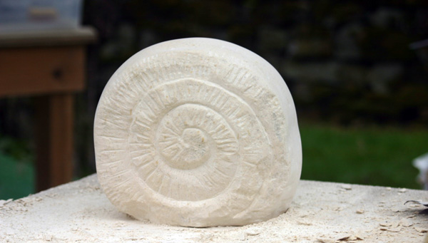 Ammonite carving