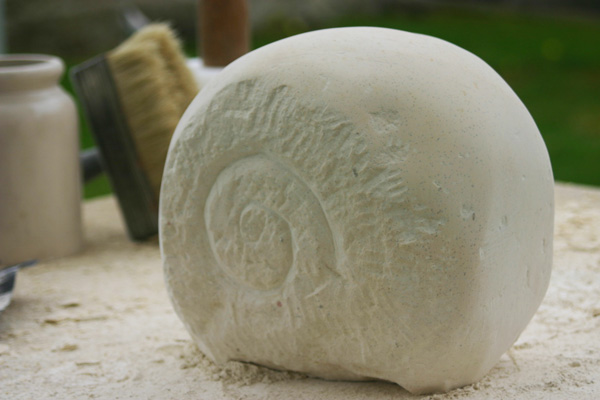 Ammonite carving