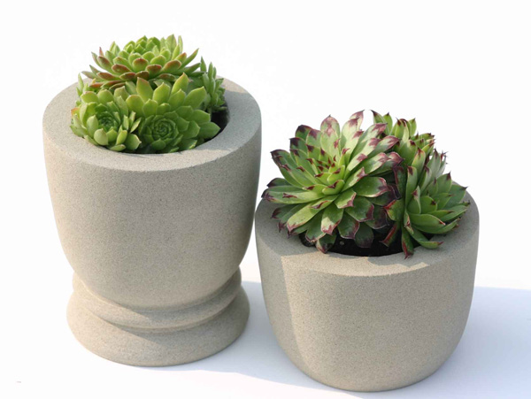 Crucible Pots with sempervivums