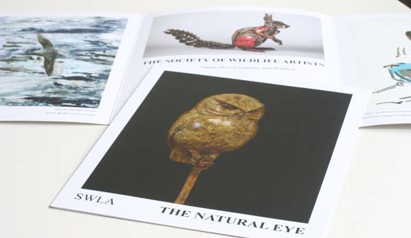Preview Invitation for The Natural Eye 2014
