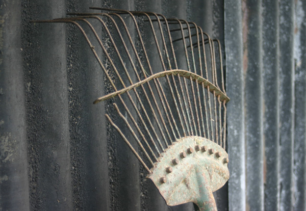 My old rake