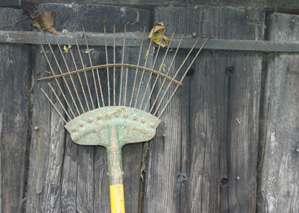 old rake