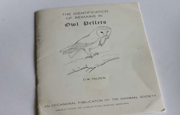 Owl Pellet leaflet