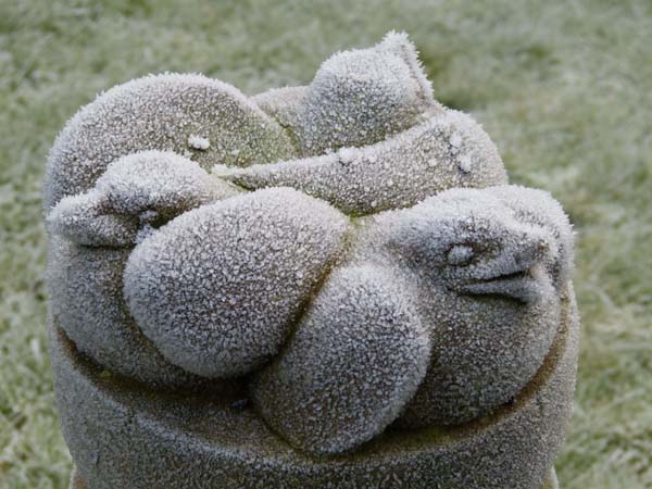 Stone sculpture feathered with frost