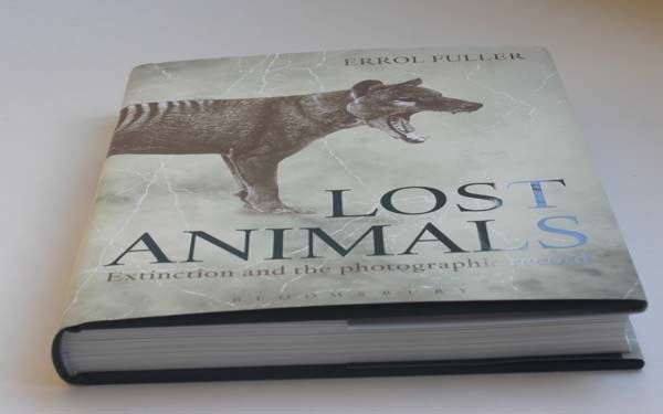 Lost Animals book