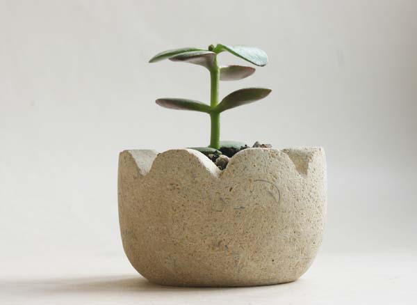 Scallop edged stone pot