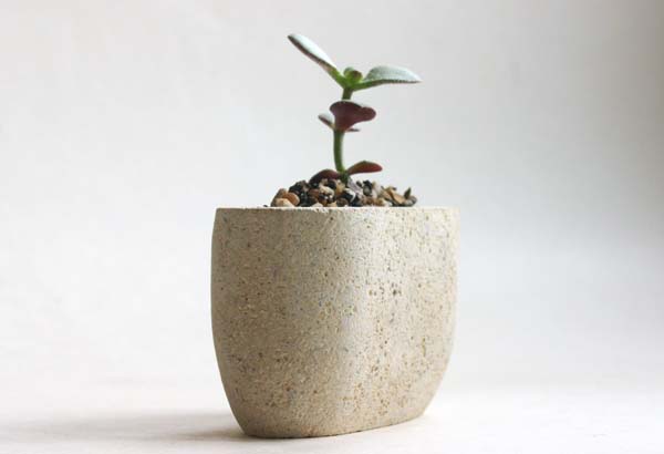 small oval stone pot