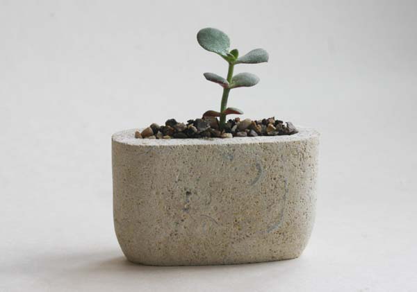 Oval stone pot