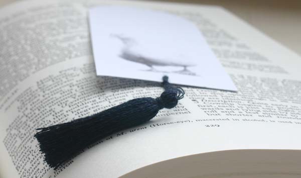 Book Mark