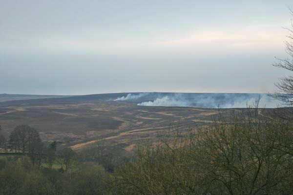 Burning heather on Spaunton Moor