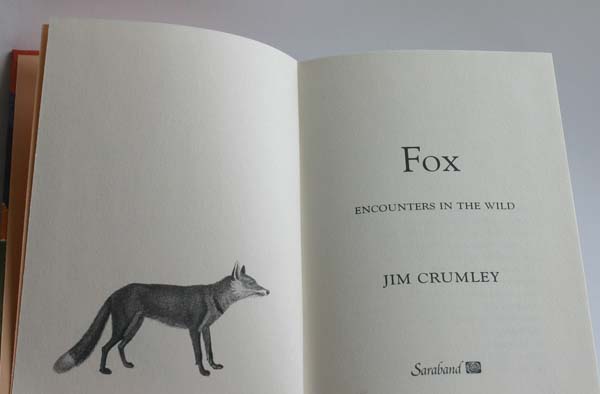 Fox by Jim Crumley