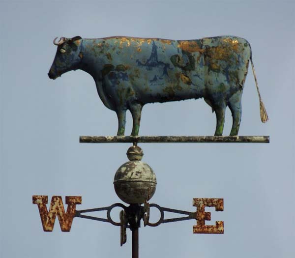 Cow weathervane