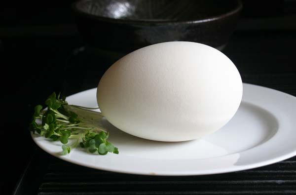 A goose egg