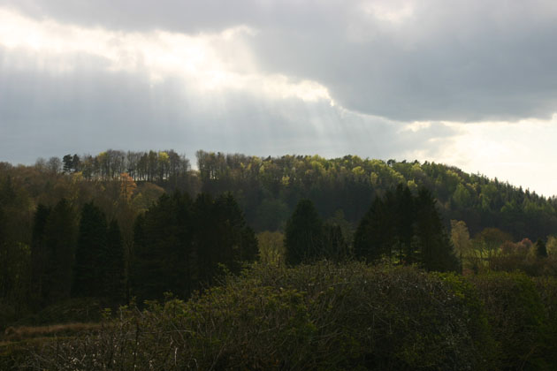 View of hillside