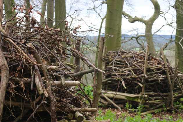 Wood piles