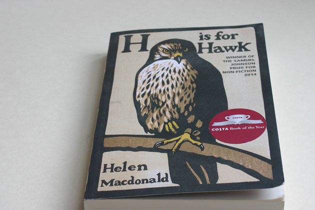 H is for Hawk