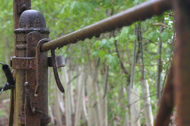 rusty fence and railings