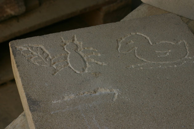 stone leaf, beetle and duck