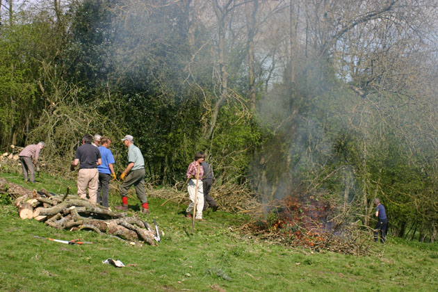 hedgerow maintenance and conservation