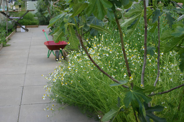 Secret Herb Garden - full moon dinner