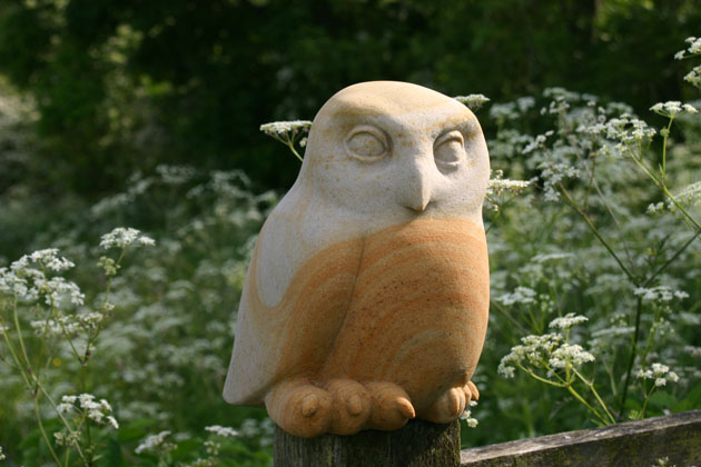 I've been thinking about the rescued Tawny Owl chick called Bop