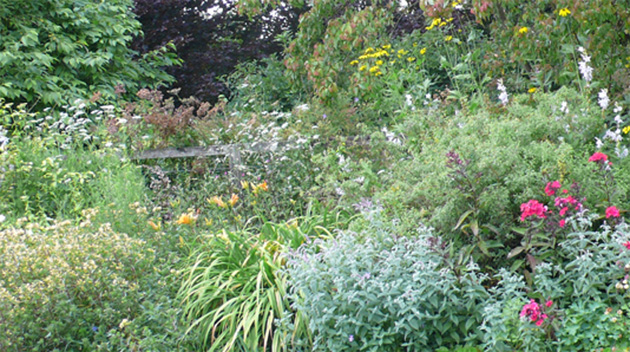 Stillingfleet Lodge Gardens