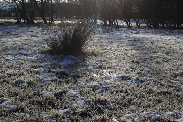 A winter walk in Lastingham