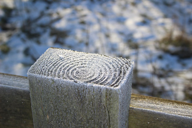 Frost on a fence post