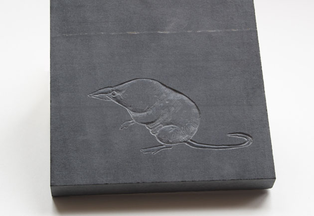 Shrew carving