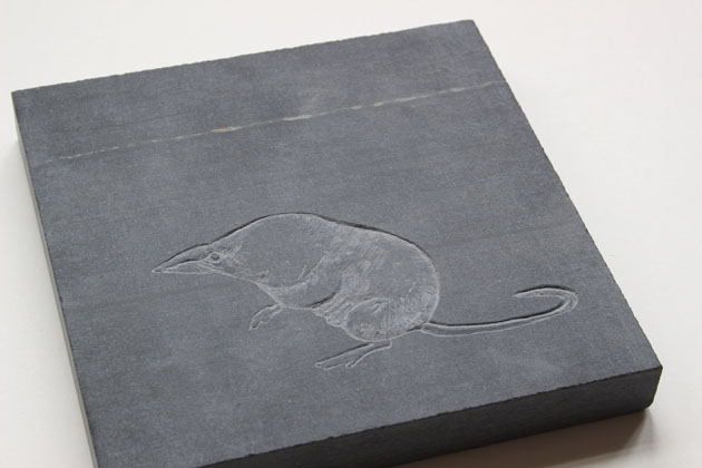 Shrew carving on slate