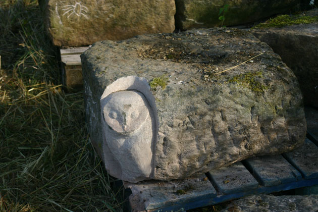 Barn Owl carving in progress