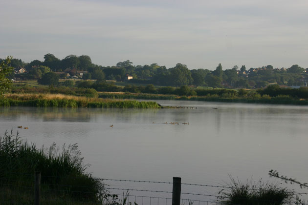 Birds on the lake at Irthlingborough