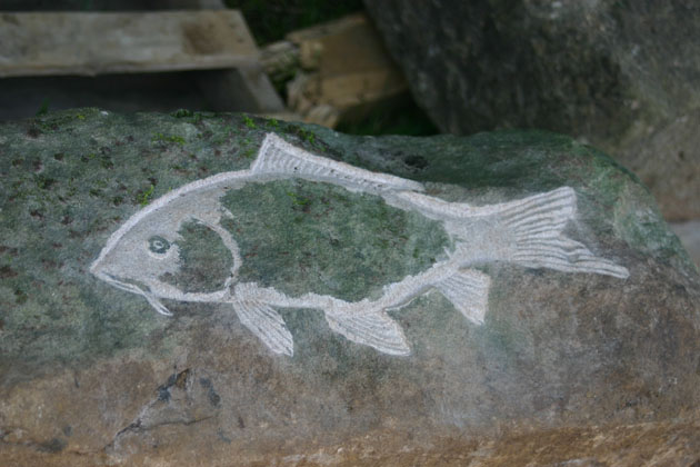Carp fish carving