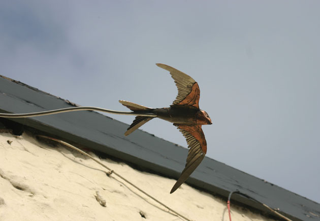 Copper swift sculpture