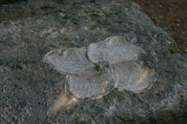 Cuckoo flower carving