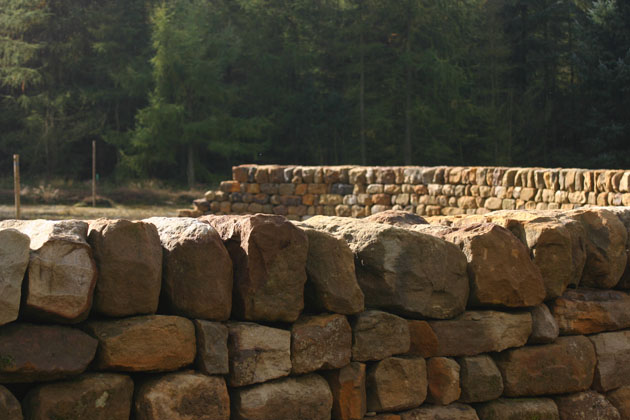 Dry Stone Wall Maze, Dalby Forest