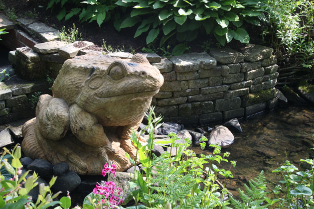 Frog sculpture carved in oak by Thompson Dagnall