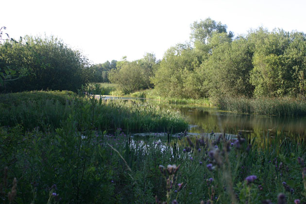 Irthlingborough Lakes