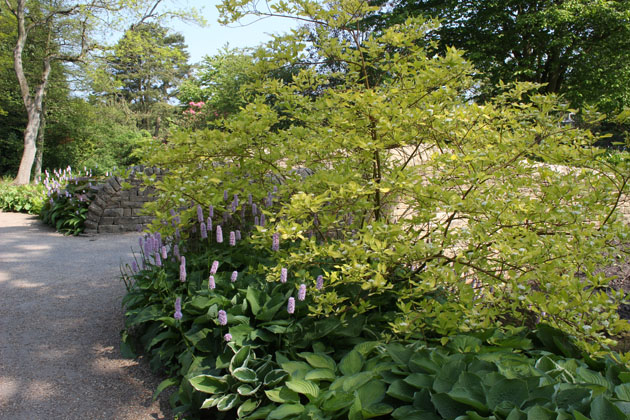 RHS Garden Harlow Carr