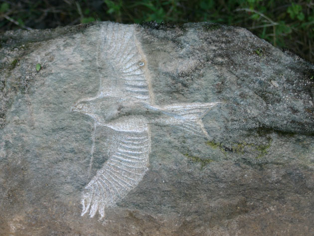 Red Kite carving