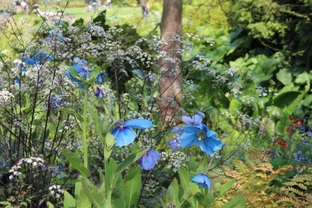 planting along the sculpture trail at Harlow